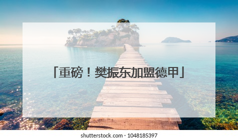 重磅！樊振东加盟德甲