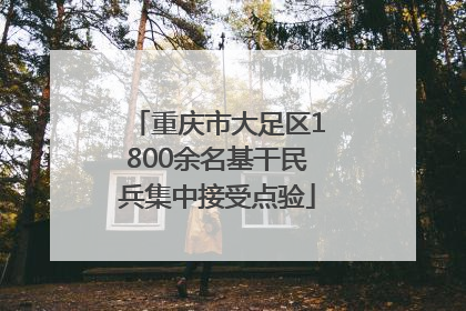 重庆市大足区1800余名基干民兵集中接受点验