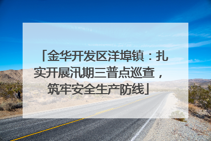 金华开发区洋埠镇：扎实开展汛期三普点巡查，筑牢安全生产防线