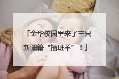 金华校园里来了三只新疆籍“插班羊”！