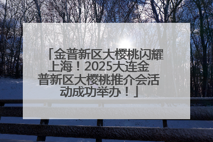 金普新区大樱桃闪耀上海！2025大连金普新区大樱桃推介会活动成功举办！