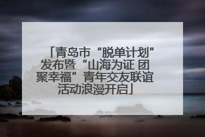 青岛市“脱单计划”发布暨“山海为证 团聚幸福”青年交友联谊活动浪漫开启