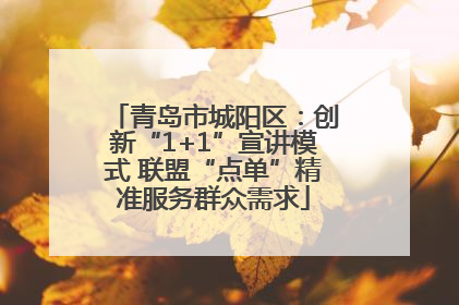 青岛市城阳区:创新“1+1”宣讲模式 联盟“点单”精准服务群众需求
