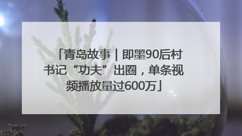 青岛故事｜即墨90后村书记“功夫”出圈，单条视频播放量过600万
