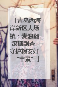 青岛西海岸新区大场镇：麦浪翻滚穗飘香 守护粮安好“丰景”