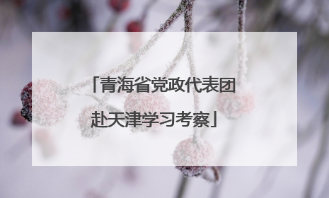青海省党政代表团赴天津学习考察