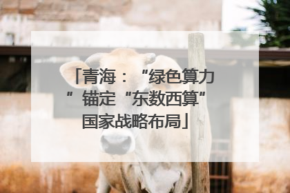 青海：“绿色算力”锚定“东数西算”国家战略布局