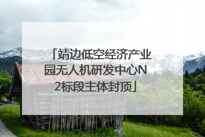 靖边低空经济产业园无人机研发中心N2标段主体封顶
