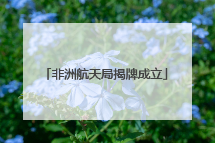 非洲航天局揭牌成立