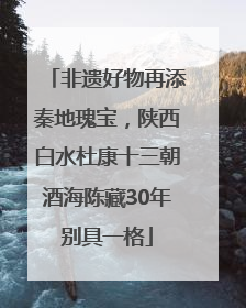 非遗好物再添秦地瑰宝，陕西白水杜康十三朝酒海陈藏30年别具一格