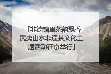 非遗馆里茶韵飘香 武夷山水非遗茶文化主题活动在京举行