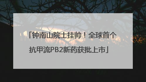 钟南山院士挂帅！全球首个抗甲流PB2新药获批上市