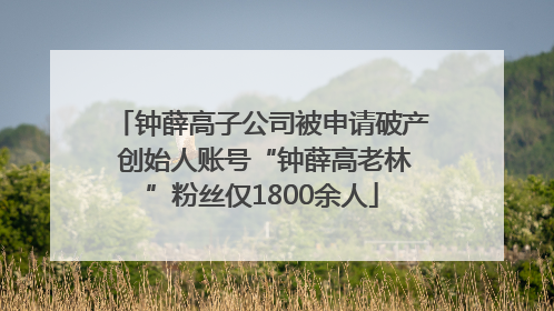 钟薛高子公司被申请破产 创始人账号“钟薛高老林”粉丝仅1800余人