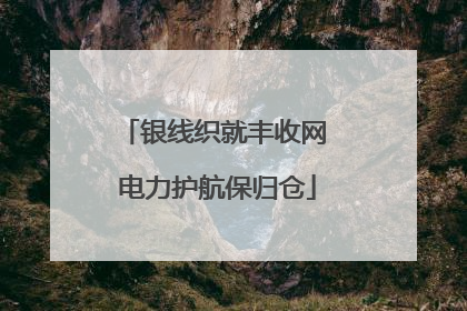 银线织就丰收网 电力护航保归仓