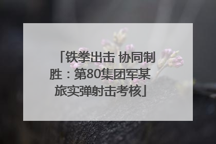 铁拳出击 协同制胜：第80集团军某旅实弹射击考核