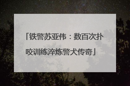 铁警苏亚伟：数百次扑咬训练淬炼警犬传奇