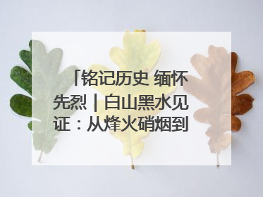 铭记历史 缅怀先烈｜白山黑水见证：从烽火硝烟到振兴热土的巨变