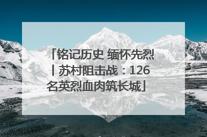 铭记历史 缅怀先烈丨苏村阻击战：126名英烈血肉筑长城