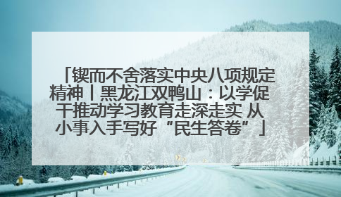 锲而不舍落实中央八项规定精神丨黑龙江双鸭山：以学促干推动学习教育走深走实 从小事入手写好“民生答卷”