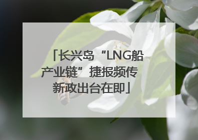 长兴岛“LNG船产业链”捷报频传 新政出台在即