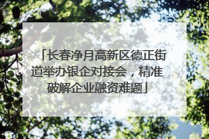 长春净月高新区德正街道举办银企对接会，精准破解企业融资难题