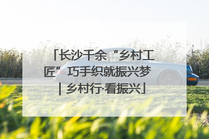 长沙千余“乡村工匠”巧手织就振兴梦｜乡村行·看振兴