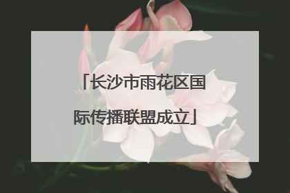 长沙市雨花区国际传播联盟成立