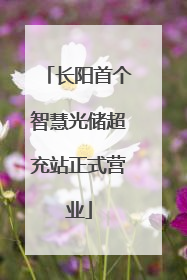 长阳首个智慧光储超充站正式营业