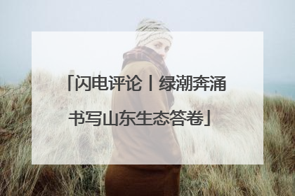 闪电评论丨绿潮奔涌 书写山东生态答卷