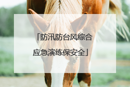 防汛防台风综合应急演练保安全