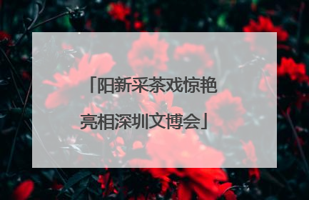 阳新采茶戏惊艳亮相深圳文博会