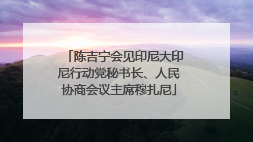 陈吉宁会见印尼大印尼行动党秘书长、人民协商会议主席穆扎尼