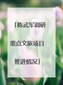 陈武军调研重点文旅项目推进情况