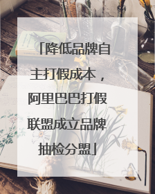 降低品牌自主打假成本，阿里巴巴打假联盟成立品牌抽检分盟