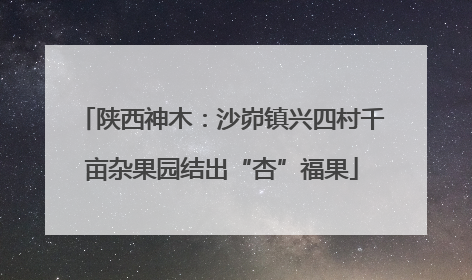 陕西神木：沙峁镇兴四村千亩杂果园结出“杏”福果