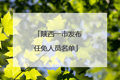 陕西一市发布任免人员名单
