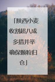 陕西小麦收割超八成 多措并举确保颗粒归仓