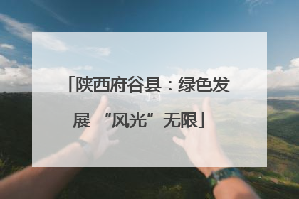 陕西府谷县：绿色发展 “风光”无限