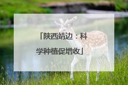 陕西靖边：科学种植促增收