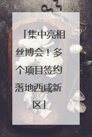 集中亮相丝博会！多个项目签约落地西咸新区