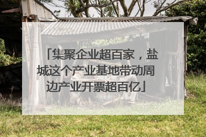 集聚企业超百家，盐城这个产业基地带动周边产业开票超百亿