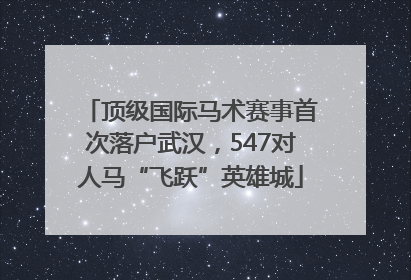 顶级国际马术赛事首次落户武汉，547对人马“飞跃”英雄城