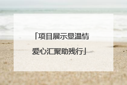 项目展示显温情 爱心汇聚助残行