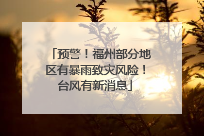 预警！福州部分地区有暴雨致灾风险！台风有新消息