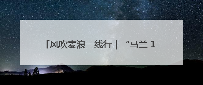 风吹麦浪一线行｜“马兰 1 号”：少浇一次水 多产一成粮
