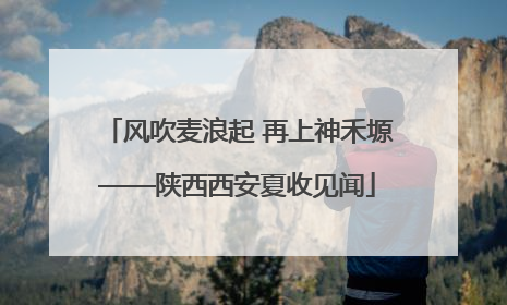 风吹麦浪起 再上神禾塬——陕西西安夏收见闻