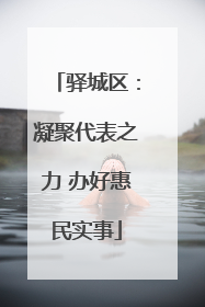 驿城区：凝聚代表之力 办好惠民实事