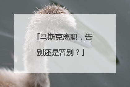马斯克离职，告别还是暂别？