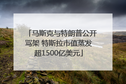 马斯克与特朗普公开骂架 特斯拉市值蒸发超1500亿美元
