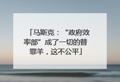马斯克：“政府效率部”成了一切的替罪羊，这不公平